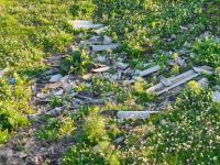 Imagine atasata: g2.jpg